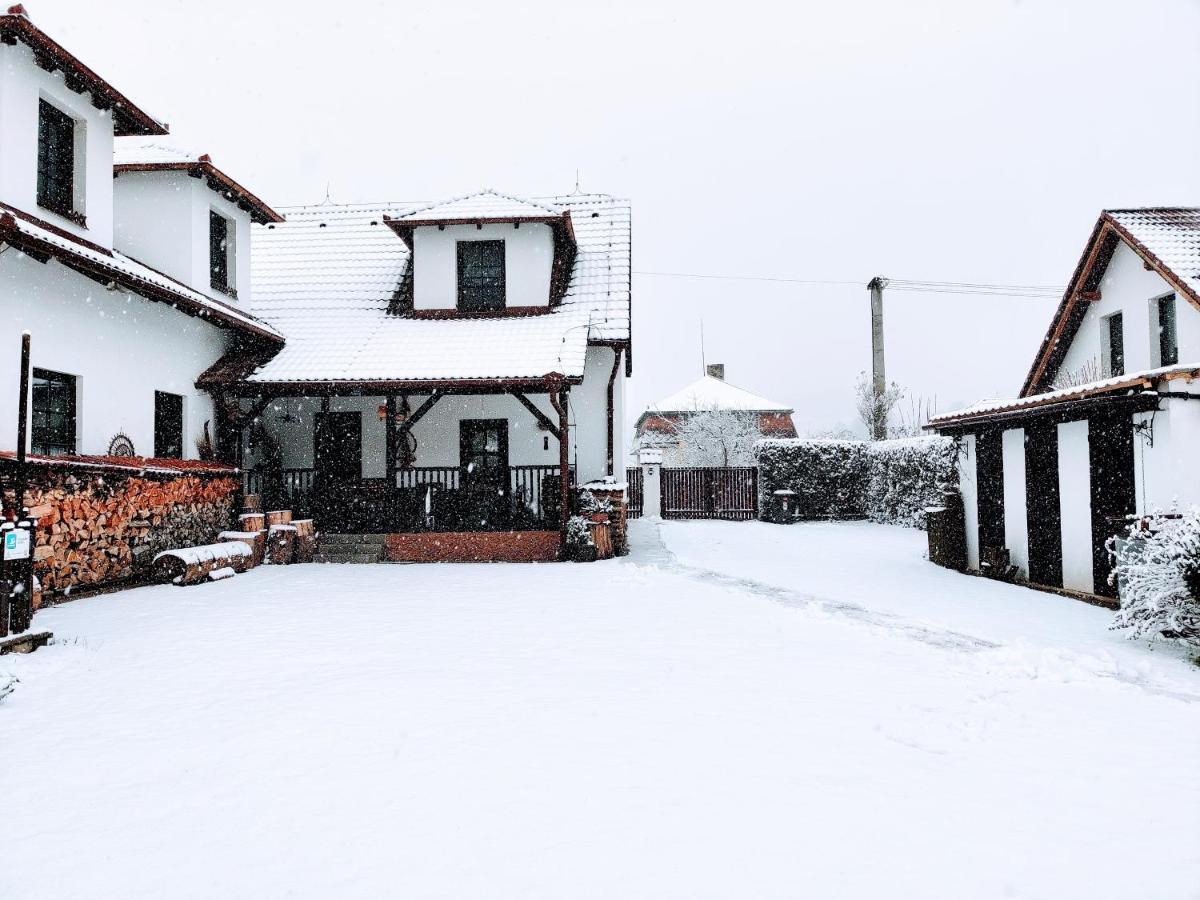 Penzion Beako Na "Pinglu" Votice Bagian luar foto