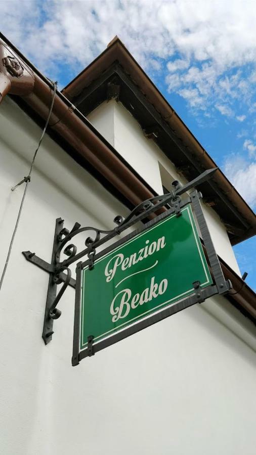 Penzion Beako Na "Pinglu" Votice Bagian luar foto